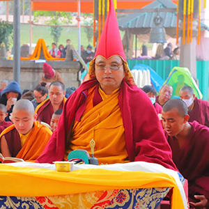 creative_gallery_image_aio-widget-creative_gallery_image-2730005-template